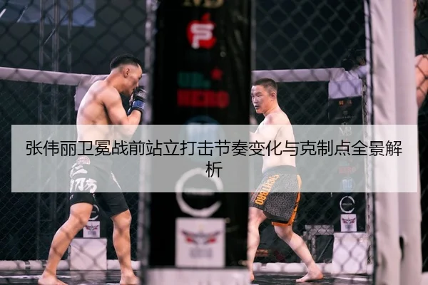 张伟丽卫冕战前站立打击节奏变化与克制点全景解析